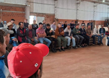 Productores yerbateros reclaman la creación del Instituto Misionero de la Yerba Mate