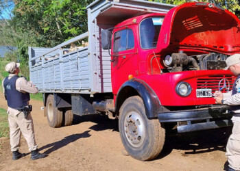 Incautan más de nueve toneladas de soja en El Soberbio