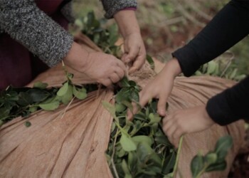 Concepción de la Sierra palpita el regreso de la Fiesta Nacional del Tarefero