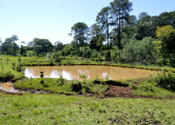 Cuarta intervención para preservar vertientes en Salto Encantado