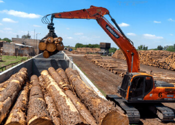 Cámaras empresariales cuestionaron al INFOPRO y pidieron rever sus facultades
