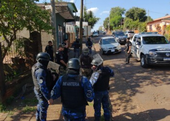 Un demorado por la muerte del puma adulto en ruta 12 de Iguazú