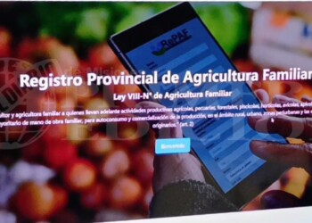 Lanzaron el Registro Provincial de Agricultura Familiar para productores misioneros: ¿cómo funciona?
