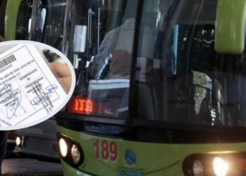 Advierten que empresas de transporte no entregan más pasajes gratuitos a personas con discapacidad