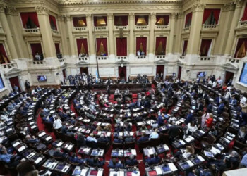 Voto misionero: tres por el veto y cuatro abstenciones