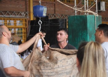 Posadas: estudiantes recolectaron más de 15 mil kilos para el concurso de materiales reciclables