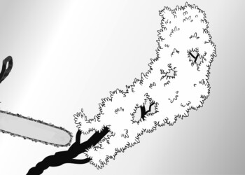 Ante el negacionismo ambiental no habrá recursos para la preservación