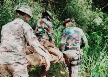 Policías de Misiones se capacitaron en búsqueda y rastreo en monte