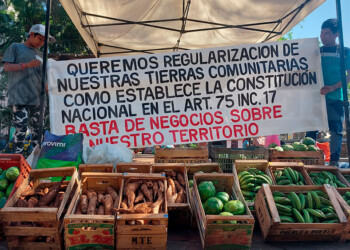 Mandiocazo: comunidades mbya reclaman por el avance de loteos privados en sus tierras