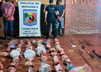 Dos hermanos arrestados por robar y faenar un animal vacuno en San Vicente