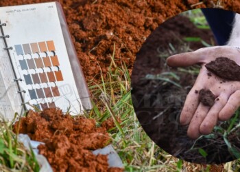 Ya está disponible la carta de suelo del departamento de Guaraní