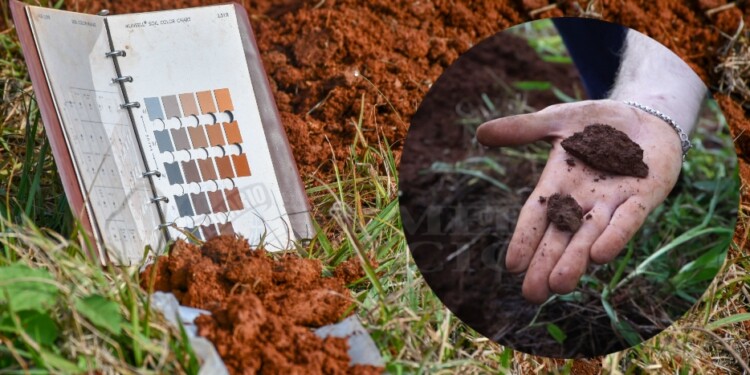 APTITUD. Aunque el trabajo se ha enfocado en los cultivos predominantes de la región, la información generada permite evaluar cualquier otro cultivo, además de que brinda información detallada del clima en la región, gracias a los análisis realizados por la estación meteorológica del instituto en la región.