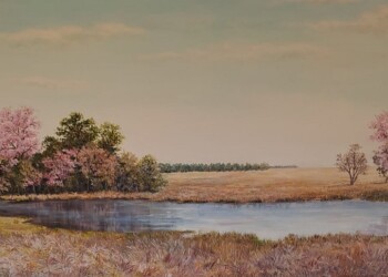 El Grupo Martes inaugura su muestra “La Savia y la Sombra”