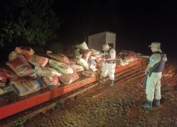 Incautaron más de diez mil kilos de soja que tenía a Brasil como destino final