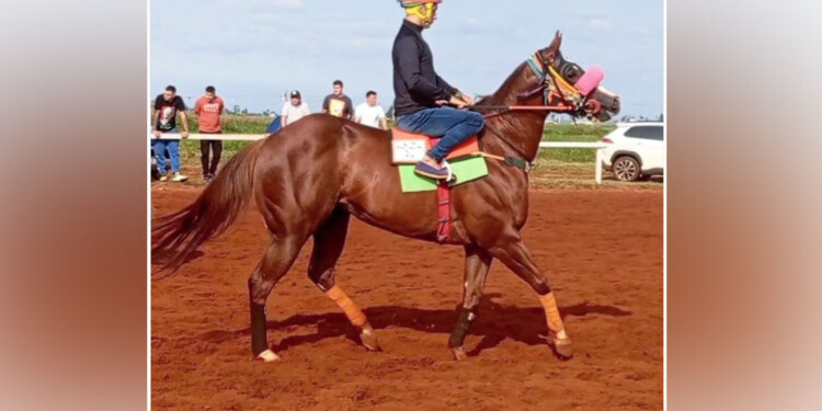 STUD CORRENTINO. Argentina Lake y su jinete Alejandro Montenegro en una de las tantas carreras que protagonizaron (Foto Instagram Todocuadreras)
