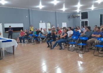 La yerba entre $370 y $390: avanza el consenso entre Gobierno y productores