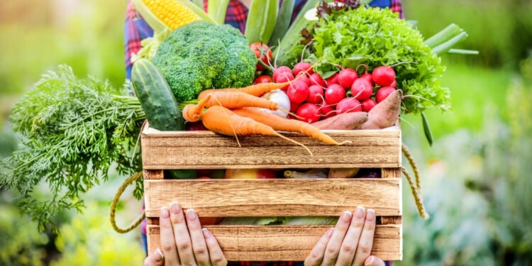 Es una tendencia en todo el mundo. Los consumidores prefiere alimentos orgánicos, sin químicos en la producción.