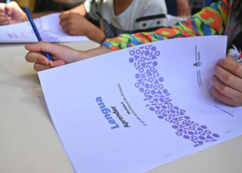 Operativo Aprender 2024: qué se evalúa