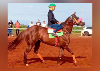 Así fue el momento en que se desplomó y murió la yegua en el hipódromo de Posadas
