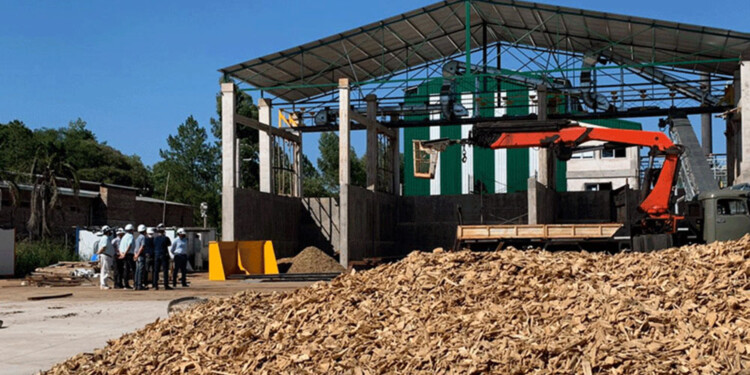 BIOMASA. Es la principal fuente de generación utilizada en Misiones, en base a los residuos forestales.