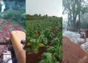Temporal en Comandante Andresito: “Nadie tiene tiempo para salir a pedir recursos al municipio; cada uno se las arregla como puede”