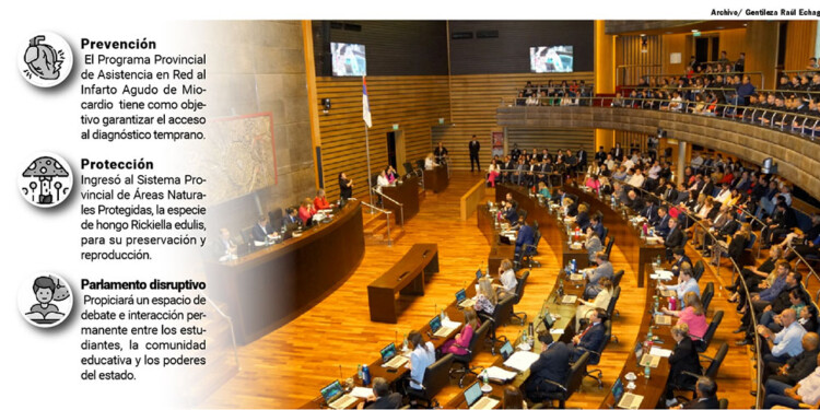 CERCA DE MEDIO CENTENAR DE LEYES. Durante este período legislativo, diputados de Misiones convirtieron en ley casi medio centenar de normas con ejes en la salud, educación, seguridad, cultura y protección ambiental.