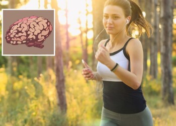 Cómo mejorar nuestro cerebro con el movimiento