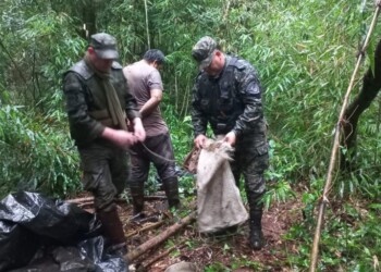 Desmantelaron un campamento de cazadores furtivos en una reserva provincial