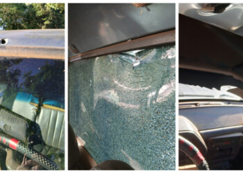 Vecino de San Antonio fue recibido “a los tiros” por cazadores furtivos