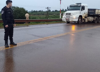Auto colisionó contra un camión en la ruta nacional 14