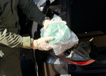 Operativo “Feijoada”: secuestran en Misiones más de 80 kilos de cocaína “ocultos” en un automóvil brasileño