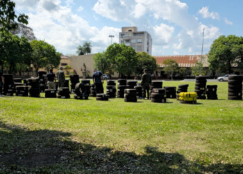 Secuestraron neumáticos valuados en más de 67 millones de pesos