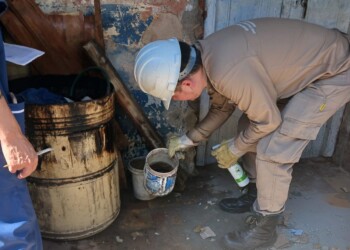 En Corrientes, 60% de las casas tienen criaderos de mosquitos
