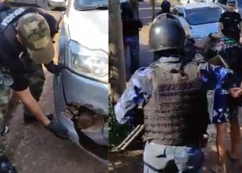 La Policía detuvo a quien atropelló y mató a un puma en Iguazú