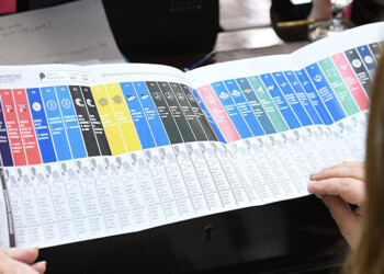 “Misiones necesita un salto de calidad en su sistema electoral”