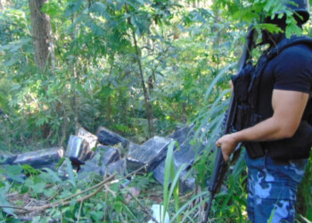 Incautaron marihuana valuada en más de 5 mil millones de pesos