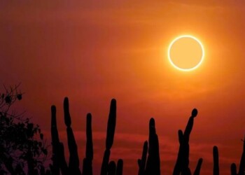 Ruta del anillo de fuego: cómo y a qué hora se podrá ver el eclipse solar anular