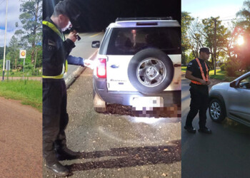 Amplio operativo policial para dar con el conductor que atropelló y mató a un puma en Puerto Iguazú