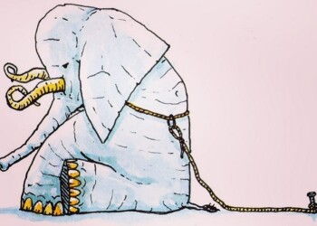 Indefensión aprendida y conflictos