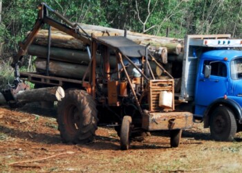 Madereros en alerta por plazos extendidos en los cobros con cheques