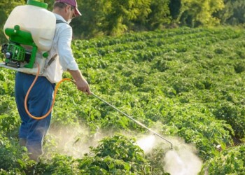 Comodoro Py desestimó por “infundada” la denuncia del diputado PRO, Miguel Nuñez