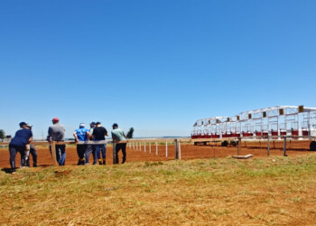 Tras la muerte de una yegua en el hipódromo, Misiones suspende actividades hípicas