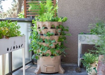 Huerta en casa: Las ventajas de las huertas verticales