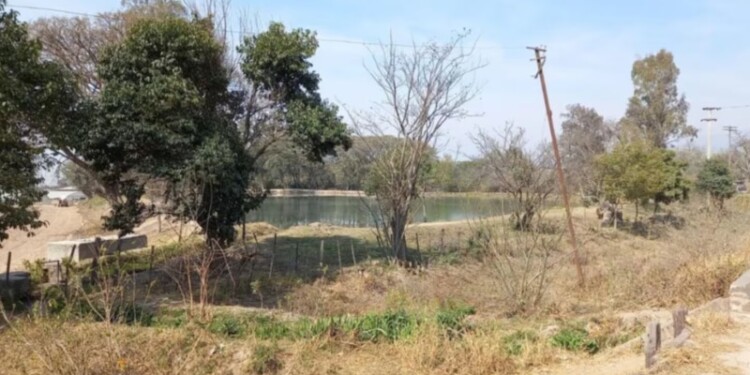 El lugar donde los perros atacaron a la nena de 11 años. (Foto: gentileza El Tribuno)