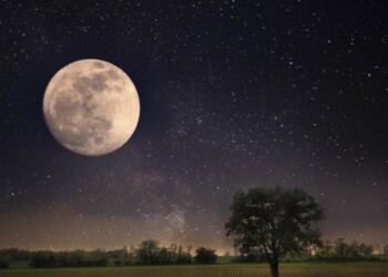 Cómo influye la luna en los cultivos y cómo aprovechar cada período