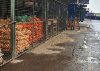 Mercado Central fantasma: los precios están a la baja, pero las ventas se desploman sin pausa