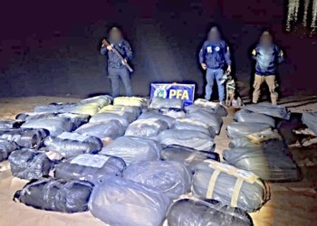 La Policía Federal incautó cerca de 600 kilos de marihuana en Misiones