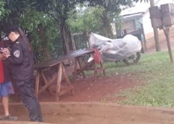 Buscan en Campo Viera a un perro que mordió a niño de cuatro años