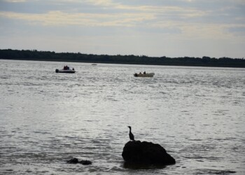 Disminuyen período de veda en el Uruguay y mantienen en el Paraná