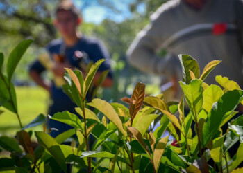 ¿Cómo se comportará el clima en la producción misionera en los próximos meses?